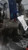 Used Toyota RAV4 Transfer Case Assembly 2007 OEM 6 Month Warranty used OEM transfer case