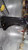 2013 Ford Transit connect wheel lip moulding Front Used OEM fender used OEM fender