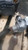 2016 Honda Hr-v Used OEM transfer case used OEM transfer case