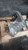 Used OEM Transfer Case Assembly for Audi Q7 2014 3.0L 94000 Mi Black used OEM transfer case