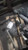 Used OEM Honda HR-V Differential Carrier Assembly 2016 Grey 146K miles used OEM differential carrier