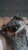Lincoln MKC 2016 Transfer Case Assembly OEM Used White 6 Mo Warranty used OEM transfer case