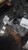 Used 2019 Mazda CX-5 Transfer Case OEM Blue 63K Miles 6 Month Warranty used OEM transfer case