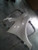 2017 Ford C-max VIN A 7th digit Front Right Used OEM fender used OEM fender
