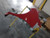 2016 Honda Fit Fender Front Left Red OEM Used Salvage Part used OEM fender