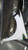 2010 Honda Insight Front Left Used OEM fender used OEM fender