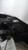 2021 BMW x1 halogen Left Used OEM headlight used OEM headlight