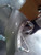 2018 Kia Niro L. without plug-in hybrid option Fron Used OEM fender used OEM fender