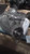 2020 Ford Escape OEM Transfer Case Assembly Silver 6-Month Warranty Used used OEM transfer case