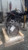 Used 2012 Nissan Rogue 2.5L Engine Complete Assembly OEM White used OEM engine assembly