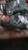 Used 2015 Ford Edge OEM Transfer Case Assembly Black 6-Month Warranty used OEM transfer case