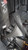 2016 Kia Sorento smooth body colored moulding Front Used OEM fender used OEM fender