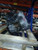 Used 2008 Honda Accord Automatic Transmission OEM Runs & Drives 220K Miles used OEM transmission assembly