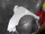 2021 Nissan Versa Front Left Used OEM fender used OEM fender