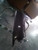 2024 Jeep Compass Front Left Used OEM fender used OEM fender