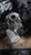 Mercedes-Benz 2009 C-Class Differential Carrier Assembly OEM Used Silver used OEM differential carrier