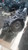 2013 Hyundai Sonata Blue Automatic Transmission OEM Runs & Drives Used used OEM transmission assembly