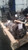 BMW 528i 2015 Automatic Transmission OEM Used White used OEM transmission assembly