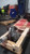2009 Jeep Grand Cherokee Transfer Case Assembly OEM 6-Month Warranty Used used OEM transfer case