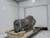 2012 Audi Q7 Grey OEM Automatic Transmission Assembly Used 152K miles used OEM transmission assembly