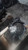 2013 Chevrolet Equinox Automatic Transmission Assembly Used OEM 2.4L AWD used OEM transmission assembly