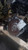 Hyundai Elantra 2017 Automatic Transmission OEM Silver Used used OEM transmission assembly