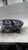 Ford Ranger 2022 Headlight Assembly OEM Grey Left Used 28000 Miles used OEM headlight