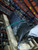 2013 Mercedes-Benz GL-Class Automatic Transmission OEM Used 117k Miles used OEM transmission assembly