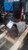 BMW 328i 2011 Automatic Transmission Assembly Used OEM Silver 3.0L used OEM transmission assembly