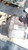 2008 Mercury Mountaineer Transfer Case Assembly OEM 4.6L Used Silver used OEM transfer case