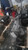 2017 Chevrolet Spark 1.4L Engine Complete OEM Used used OEM auto part