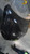 2020 Hyundai Elantra Black OEM Hood Used Salvage Auto Part used OEM hood
