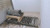 Used OEM 2013 BMW 528i Automatic Transmission Grey 127K miles used OEM transmission assembly