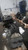 Used Subaru Legacy 2.5L Engine Complete Assembly 2016 Blue OEM Salvage used OEM engine assembly