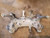 2022 Kia Forte 2.0L FWD Front Suspension Cradle Crossmember with Warranty OEM used OEM subframe or crossmember