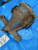 01-05 Lexus GS430 Rear Axle Differential Carrier Assembly 3.266 Ratio w/Warranty Used OEM differential carrier used OEM differential carrier