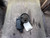 2007-2012 Jeep Liberty Power Steering Pump Assembly OEM used OEM power steering pump