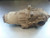 2002 Honda CRV Rear Axle Differential Carrier Assembly With Warranty 02 OEM Used used OEM differential carrier