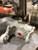 2006-2022 Toyota Rav4 Rear Differential Carrier Assembly 2.28 ratio OEM Used used OEM rear differential carrier