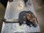 2006 Lexus GS300 Passenger Right Front Spindle Knuckle Assembly Oem used OEM steering knuckle