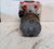 2002-2003 BMW X5 ABS Anti-Lock Brake Pump Assembly OEM 02-03 used OEM ABS pump and module