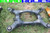 OEM Mercedes W164 ML320 06-11 X164 GL550 Rear Crossmember Suspension Subframe used OEM rear subframe and crossmember