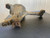 2002-2010 Ford Explorer Front Axle Differential Carrier 3.73 Ratio used OEM differential carrier