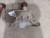 2015-2022 Ford Mustang Rear Axle Differential Carrier Assembly 3.31 Ratio OEM Used used OEM differential carrier
