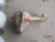 2002-2005 Dodge Ram 1500 Front Differential Carrier Assembly 3.55 Ratio OEM Used used OEM front differential carrier