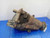 2007-2009 Lexus RX350 Rear Axle Differential Carrier 2.928 Ratio AWD OEM used OEM differential carrier
