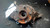 2009-2015 Nissan Murano Passenger Right Front Spindle Knuckle OEM used OEM steering knuckle