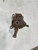 2004-2011 Chevy Aveo Driver Left Front Spindle Knuckle OEM used OEM steering knuckle