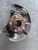 2014-2018 Subaru Forester Passenger Right Front Spindle Knuckle OEM used OEM steering knuckle