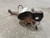 2006-2010 Mercury Mountaineer Passenger Right Front Spindle Knuckle OEM used OEM steering knuckle